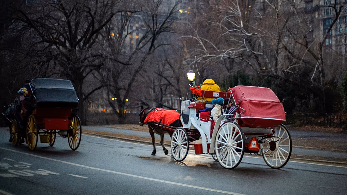 Les calèches de Central Park risquent d'être interdites alors que New York vote pour mettre fin aux attractions touristiques