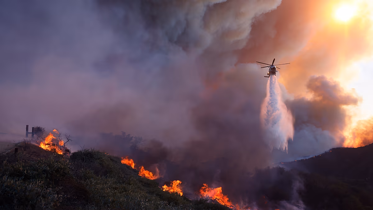L'exposition à la fumée des incendies de forêt pendant la grossesse est liée à un risque plus élevé d'autisme chez les enfants